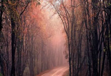 巴萨后防线面临严峻考验，对手充满活力