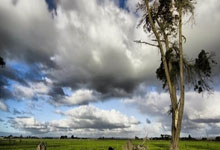 土耳其队力挽狂澜，晋级淘汰赛