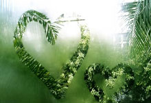 高强度对决，球员努力争取胜利