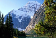 南美足球的狂欢：绿茵场重燃战火，球迷热情点燃新篇章